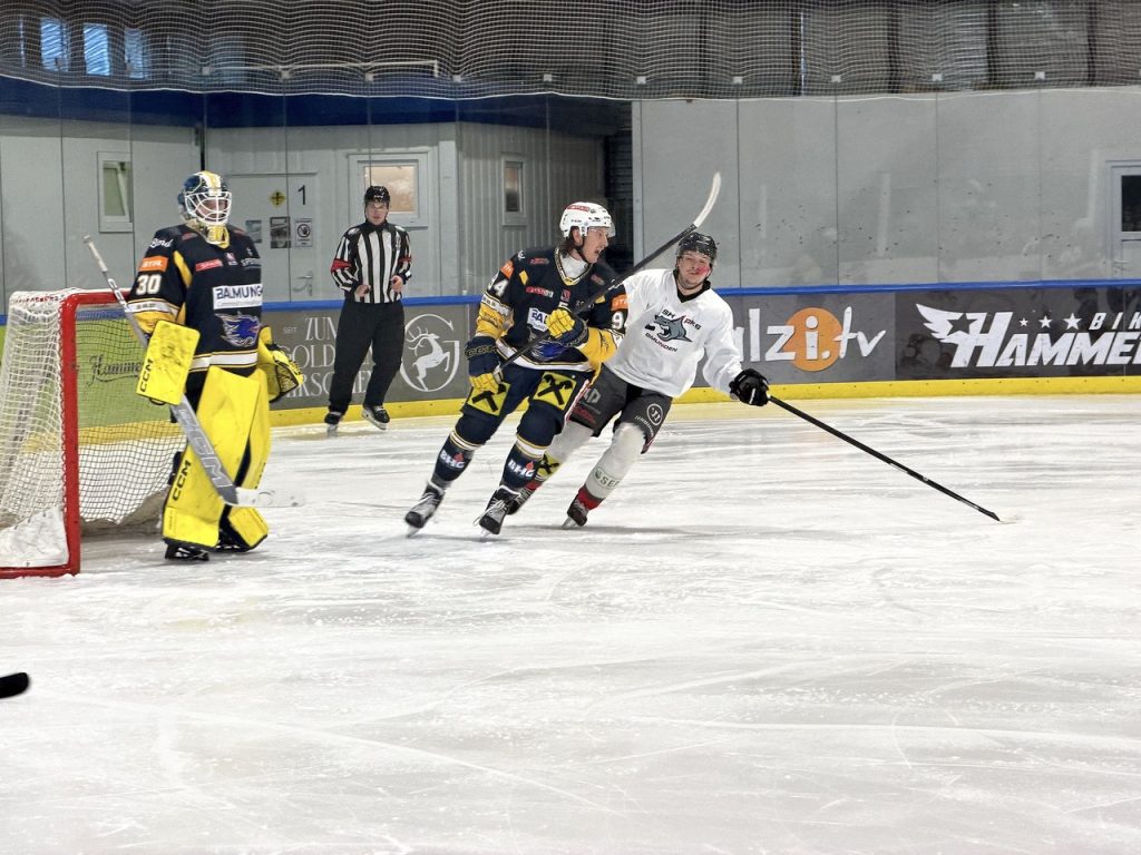 Sharks schließen Pre-Saison erfolgreich ab