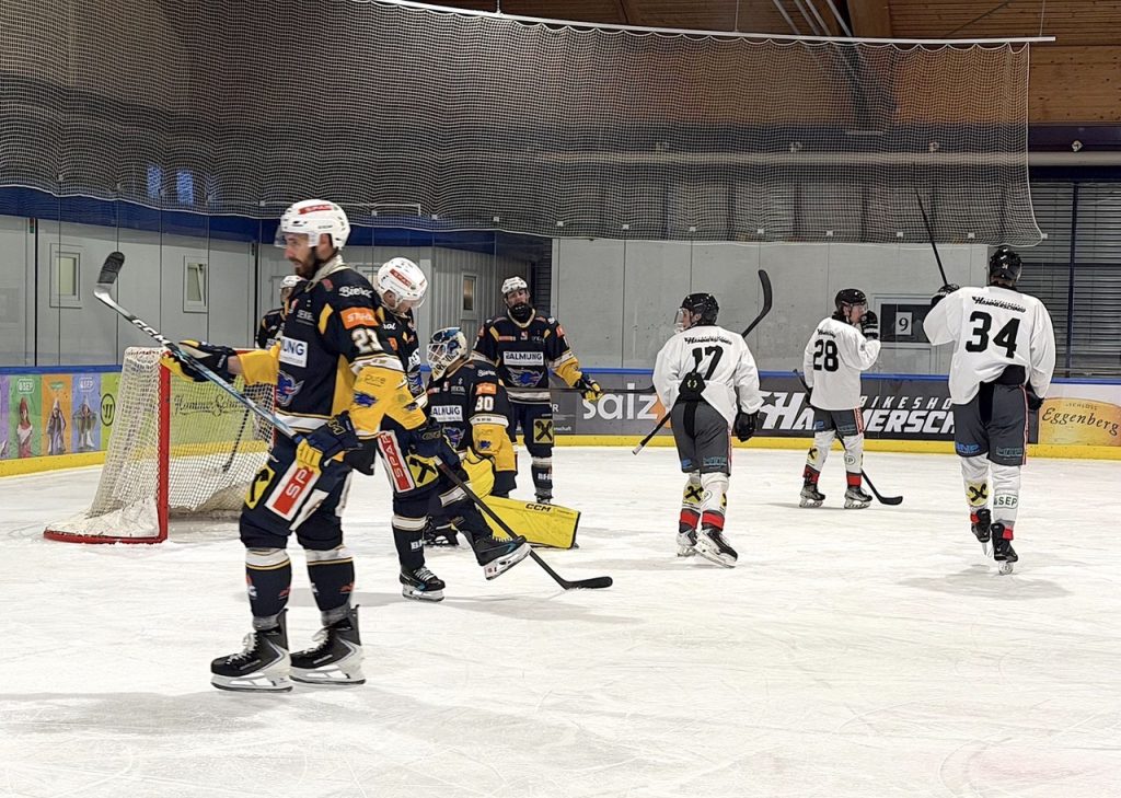 Sharks schließen Pre-Saison erfolgreich ab