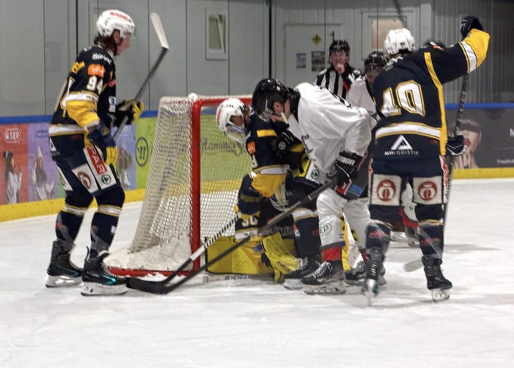 Sharks schließen Pre-Saison erfolgreich ab