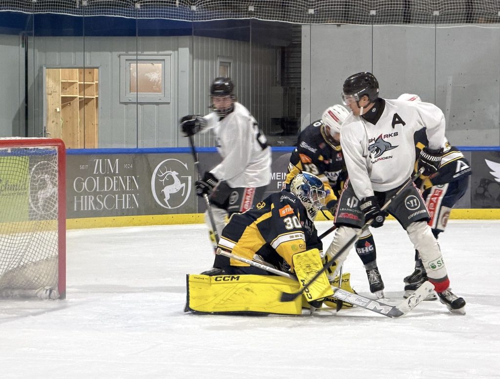 Sharks schließen Pre-Saison erfolgreich ab