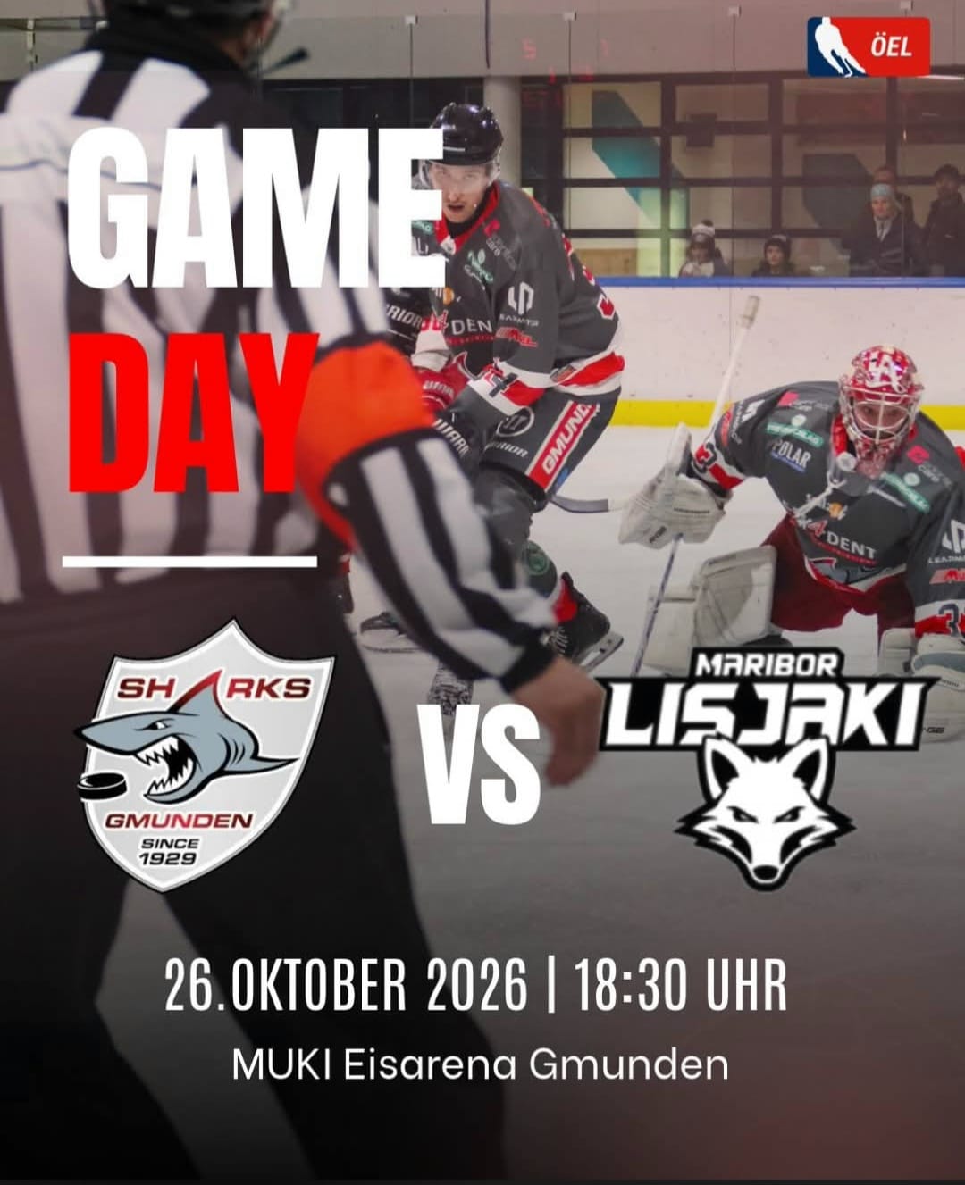 HEUTE: HEIMSPIEL IM HAIFISCHBECKEN!