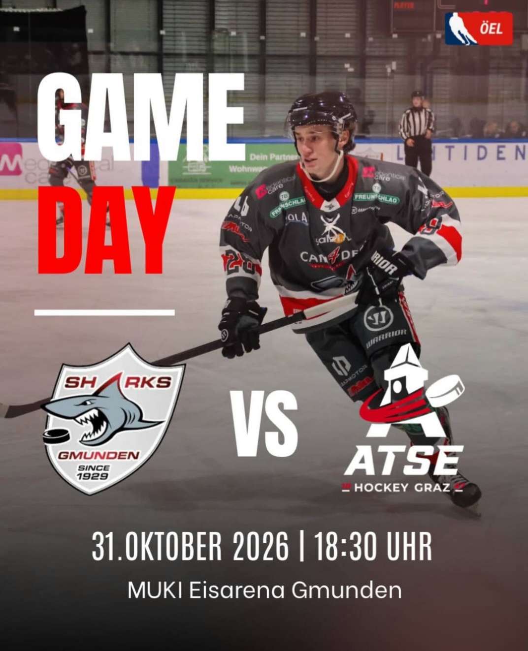 GAMEDAY IM HAIFISCHBECKEN
