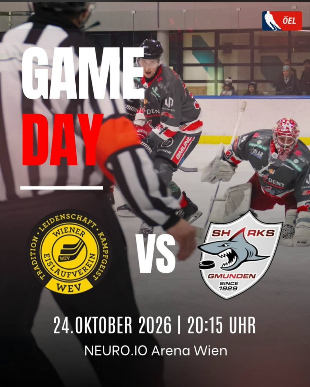 Starkes Wochenende für die Sharks – heute wartet der Tabellenführer!